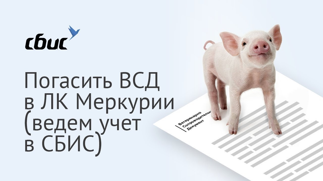 Как погасить ВСД в ЛК Меркурий с учетом в СБИС